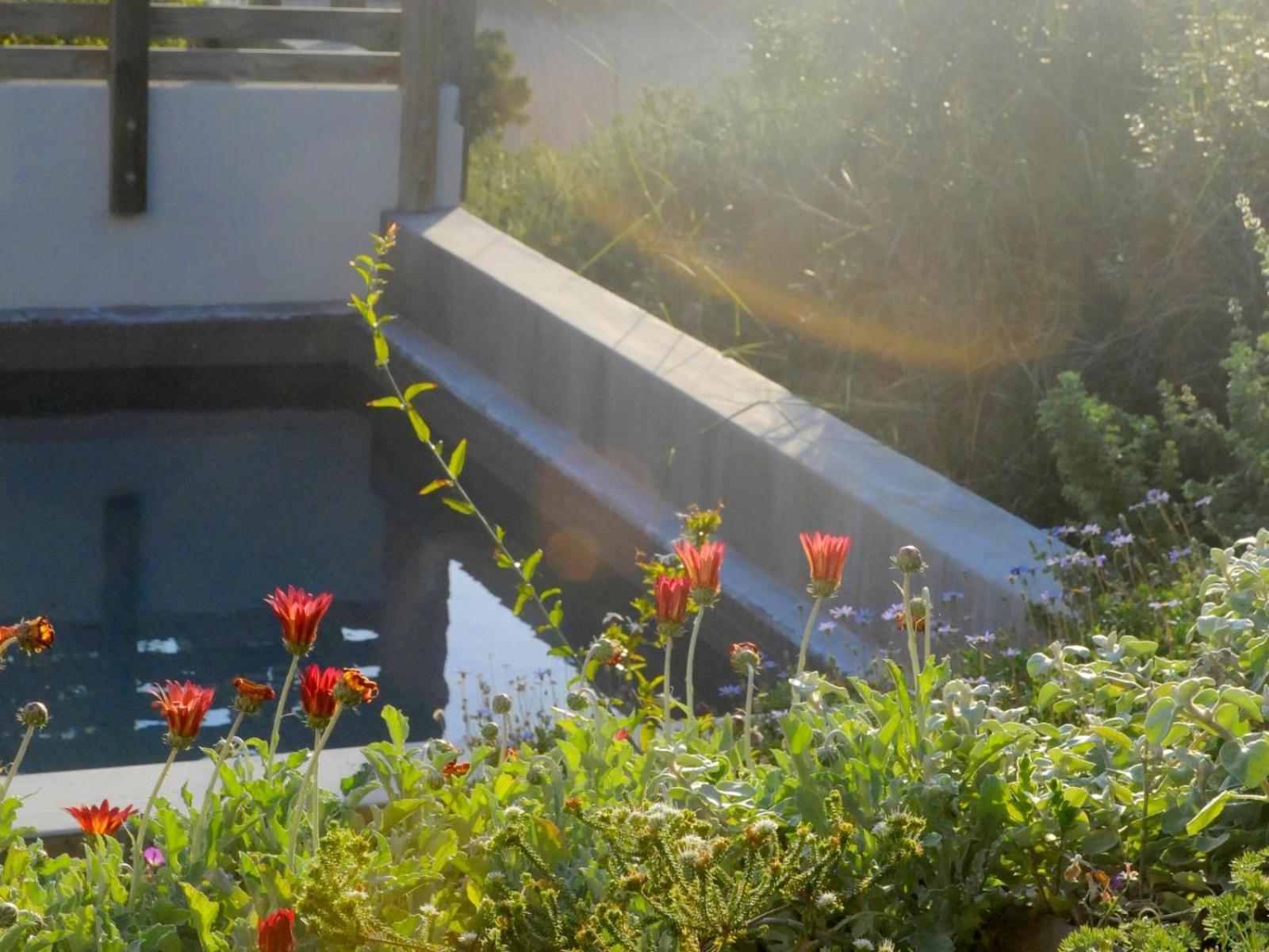 Christiana Lodge Plettenberg Bay Phòng bức ảnh